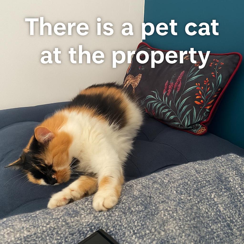 פלימות' Peverell Loft Retreat מראה חיצוני תמונה